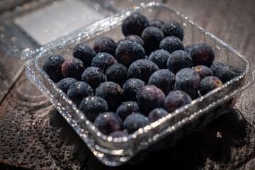 Blueberries from organic frozen cultivation and ready to be consumed