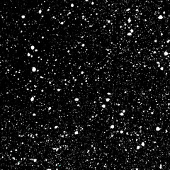 Festive Pattern. Greyscale Stylish Effect. New