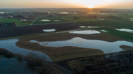 view of the flood fields at sunset
