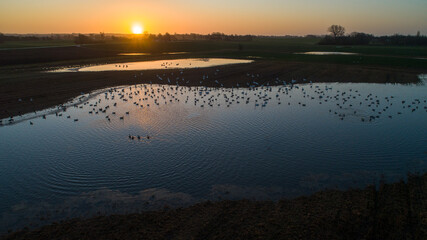 Fototapeta premium sunset over the river