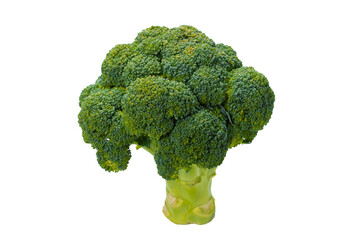 Fresh tasty broccoli isolated on white background.