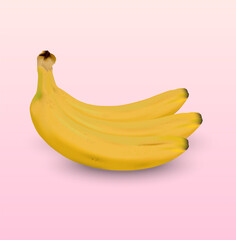 Three yellow Bananas isolated on a pink background.