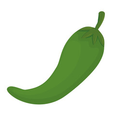 green chili pepper vegetable in white background vector illustration design