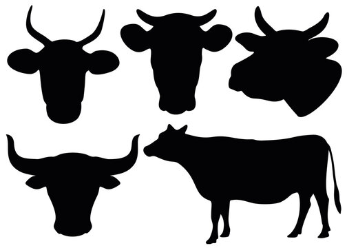 Cow Head Silhouette Images – Browse 33,365 Stock Photos, Vectors, and ...