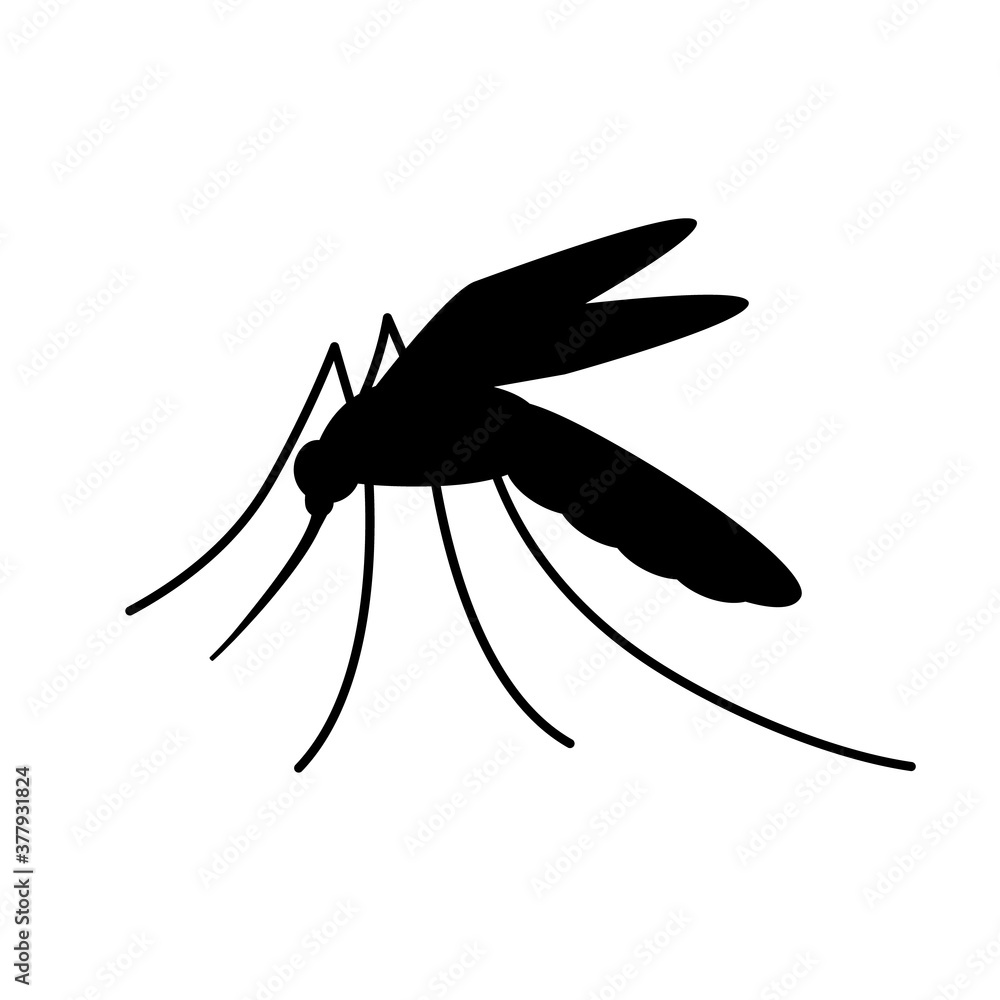 Wall mural Malaria mosquito silhouette icon. Clipart image isolated on white background.