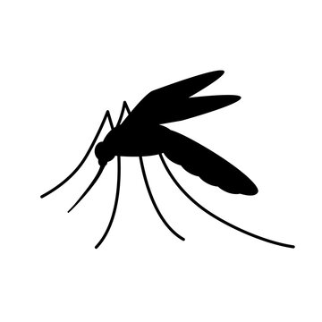 Malaria mosquito silhouette icon. Clipart image isolated on white background.