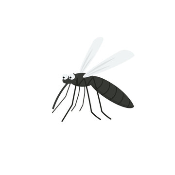 Malaria mosquito cartoon icon. Clipart image isolated on white background.