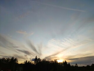 beautiful sky at sunset. sunlight and clouds over the forest. copy space