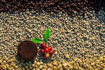 coffee grounds and coffee cup and red with green leaves and dried coffee beans processed backgrounds top view shot