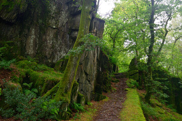 Tolkienesque Welsh Valley Scenes 