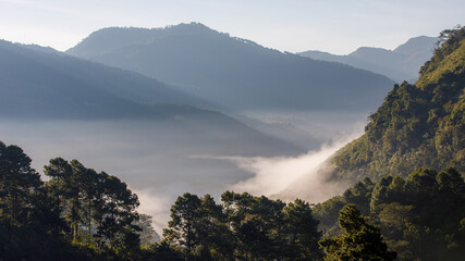 Fototapeta na wymiar valley and mist morning time