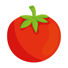 fresh tomato vegetable in white background vector illustration design