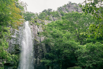 Obraz premium Beautiful view of Daehye waterfall, located on Geumosan Mountain, Gumi City, South Korea