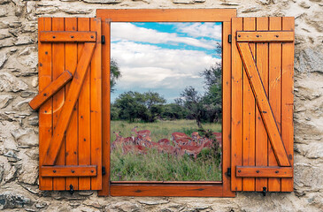 Gazelles in the prairies with acacias from Kenya on a cloudy day. Its a point of view from wood...