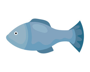 cute fish animal on white background vector illustration design