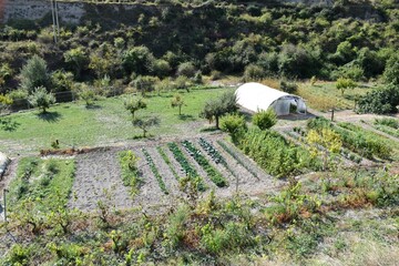 Fototapeta na wymiar Traditional garden with greenhouse in La Rioja