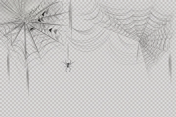 A set of hanging spider webs of different shapes.Scary spiderweb of halloween symbol. Realistic  silhouette.Vector illustration.