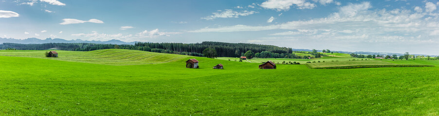 Fototapeta na wymiar Grüne hügelige Landschaft mit alpenpanorama im Allgäu