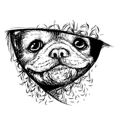 Bulldog puppy. A graphic, hand-drawn portrait of a happy puppy looking out from under the blanket. Design for printing on textiles. Separate layers.