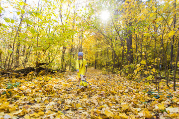 Fototapeta premium Portrait of a little girl on a background of orange and yellow leaves in an autumnal sunny day. Little puppy jack russell terrier. Pet and child concept. Friendship.