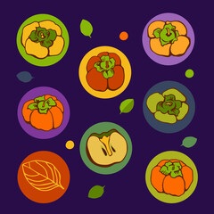 Vector set with persimmon on color background. Flat style.
Illustration for wrapping paper, post cards, prints for clothes, and emblems. Design for cosmetics, spa, health care products and perfume.