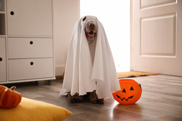 Adorable English Cocker Spaniel dressed as ghost with Halloween trick or treat bucket at home
