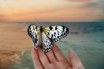 Fototapeta na wymiar Woman holding beautiful rice paper butterfly on sandy beach, closeup