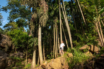 A woman in a white blouse on a mountainside admiring the jungle on the island of Sri Lanka