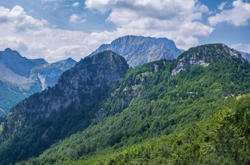 Summer landscape – Albanian mountains, covered with green trees, clouds on blue sky.