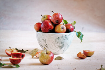 Wild red apples on a branch