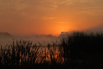 foggy, orange sunrise over the river