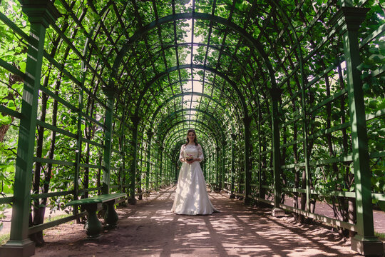 Bride with wedding bouquet in hands on background of green leaves in the Park. Pretty woman in wedding dresses on Sunny wedding day. Female in amazing view. Happy bride on background green © Alex Vog