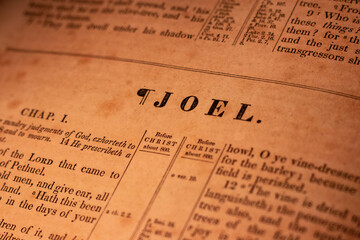 Joel