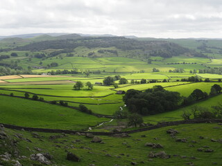 Naklejka premium Rural landscape in the Yorkshire Dales