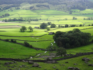 Rural landscape in the Yorkshire Dales