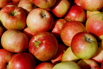 Fototapeta na wymiar Natural Organic Apple Background Fresh And Healthy Eating Concept.