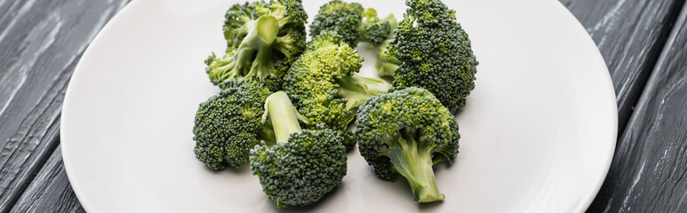 fresh green broccoli on white plate on wooden surface, panoramic shot