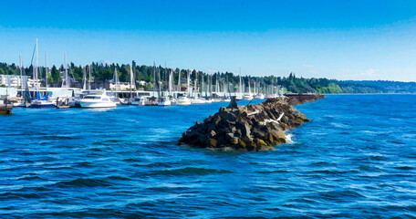 Washington Marina Entrance  Illustration