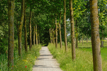 Obraz premium Hiking trail through the flemish countryside.
