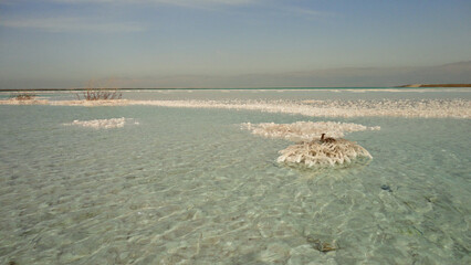 Israel, Dead sea salt shore