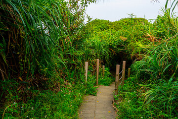 Jinshan Shitoushan Park at Jinshan District of New Taipei City of Taiwan.