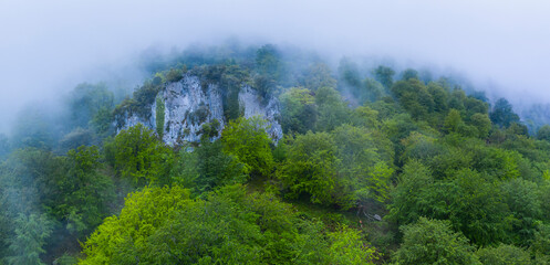 Beech forest in the surroundings of the Sierra de Hornijo near Ramales de la Victoria in the Autonomous Community of Cantabria. Spain, Europe