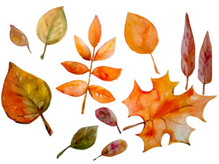 Watercolor set of autumn leaves.