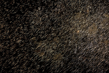 Blurred light rain background on black background.