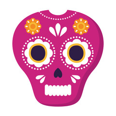 pink mexican skull with flowers decoration, on white background vector illustration design