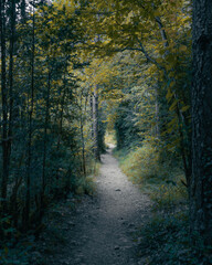 Fototapeta premium Pasillo