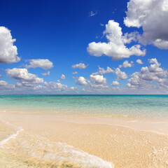 Fototapeta na wymiar Beautiful landscape with white sandy sea spit beach and warm tropical ocean
