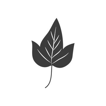 sycamore leaf icon, silhouette style