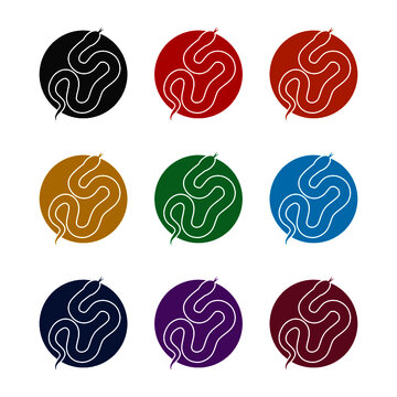 Simple Snake icon, color set