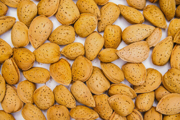 Inshell almonds on a white background. Almonds are laid out as a background .
